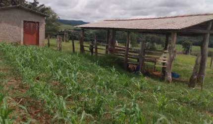 Chácara 1 Alqueire, Terra vermelha 100% plano e tratoravel Água da Sabesp e energia elétrica Poço caipira e Rio aos fundos Casa pequena com garagem