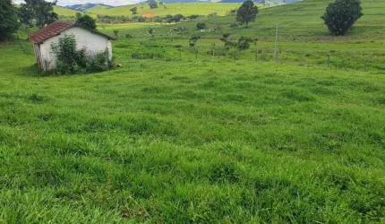 Fazenda 96 Alqueires 233 há municipio de itajuba 4 km da rodovia .pedida de porteira aberta $ 10.000.000.00 porteira fechada com 330 vacas nelore 2 tr