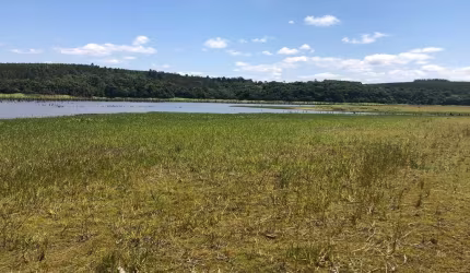 Fazenda Área Total 62 Alqueires   Área em Plantio 49 Alqueires  Topografia Plana  Terra Mista a Argilosa   Rica de Água  Pega o Rio Paranapanema  Argi