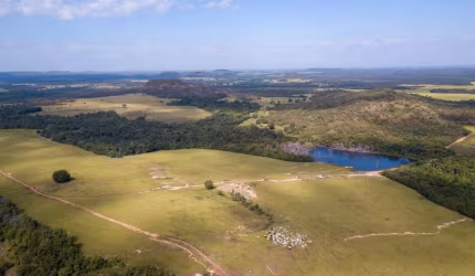 FAZENDÃO A VENDA NO ESTADO DO TOCANTINS-TO ??  *Área Total: 18.800 Mil Hectares 7.800 Alqueires Paulista  3.900 Alqueirão *Localização: Goiatins/TO