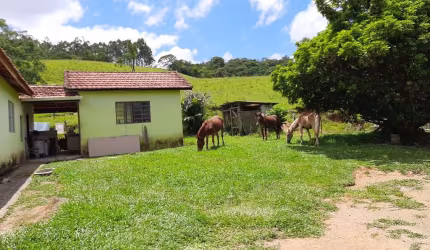 Sítio 10 Alqueires Ótima área para Gado, Eucalipto ou Pinus Casa Sede boa e galpão simples Boa de água, córrego e Nascentes  Formada em pasto