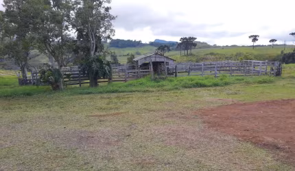 Fazenda 402 Alqueires  - Sendo 140 Alqueires em Plantio de Grãos (Planta mais 40 Alqueires)   - 20% Reserva e App  - Restante todo em Pasto   - Solo