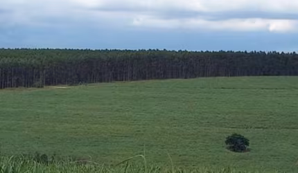 Fazenda 97 Alqueires Sendo 73 em Cana, Planta Até 80 Alqueires, Rica em Água, 2 Ribeirões, Pode fazer 2 Represas em 1 Alqueires cada p/Irrigação.