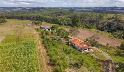 Sítio 10 Alqueires, Porteira Fechada, Dois Trator, 40 Cabeça de Búfalo, 2 Casas, 1 Barracão, Três Estufas, Rico em Água com Lago, Ótima Localização