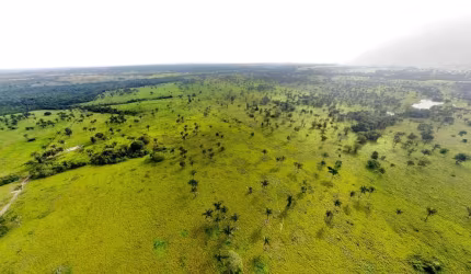 Fazenda 335 Alqueires, 260 Alqueires em Pasto, 900 Hectares Podendo Plantar, 100% Plana, Rica em Água, Casa Sede, Curral, Ótima Localização