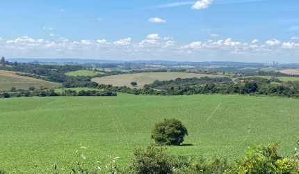 Fazenda 100 Alqueires, 80 Alqueires em Área Para Plantio, Topografia Plana, Terra Mista, Sem Benfeitorias, Proximo ao Asfalto, Ótima Localização