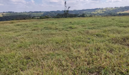 Fazenda 42 Alqueires, Rica em Água com Açudes e Ribeirão, Terra Mista a Vermelha, Topografia Ondulada a Plana, Casa Sede e Caseiro, Galpão, Pasto