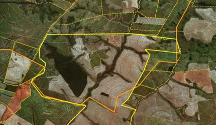 Fazenda 1231 Alqueires, 800 Alqueires em Cana, 100 Alqueires em Pasto, Ótima Topografia, Terra Vermelha, Rica em Água, Boa em Benfeitorias