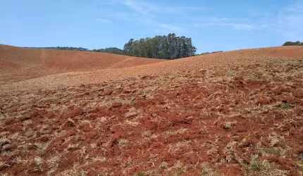 Sítio 32 Alqueires, 26,6 Alqueires Limpos, 18 Alqueires Arrendado em Tomate e Cereais, Terra Vermelha, Rico em Água com 4 Açudes e 6 Nascentes, 2 Casa