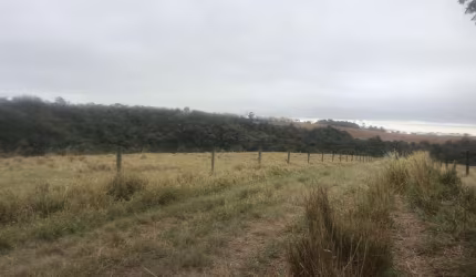 Fazenda 59 Alqueires, Rico em Água com Córrego e Nascentes, Formada em Pasto na Pecuária, Terra Mista, Boa Topografia, Poço Artesiano, 3 Casas