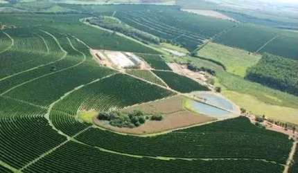 Fazenda 530 Hectares, 268 Hectares em Lavoura de Café, 16 Hectares em Eucalipto, Rico em Água com Rio, Casas Sede e Caseiro, Oficina, Escritório