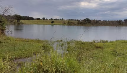 Fazenda 1134 Hectares, Rico em Água com Lago e Rio, 901 Hectares Para Plantio de Soja, 291 Hectares para Irrigação, Ótima Localização,Sem Benfeitorias
