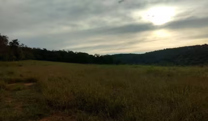 Sítio 11,75 Alqueires, 6 Alqueires Limpos e 5,75 Alqueires em Mata Nativa, Casa e Barracão, Terra Boa Para Cultivo ou Pasto, 2 Rios