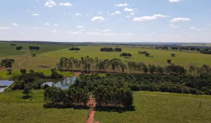 Área 55 Mil m2, Ideal Para Condomínio Logístico ou Industrias, Rico em Água com Lago, Casa Sede Simples, Fácil Acesso, Beira do Asfalto