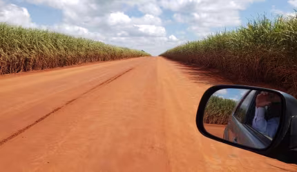 Fazenda 156 Alqueires, 124 Alqueires em Cana, Terra Boa e Plana, Benfeitorias Simples, Beira de Asfalto, Ótima Localização