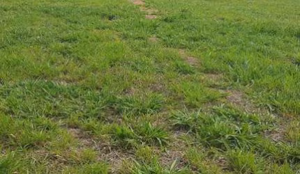 Solar das Esmeraldas Condomínio Fechado Terreno 300m2 Plano bem localizado no Condomínio,portaria 24 horas, quadra gramada, quadra de tênis em saibro,