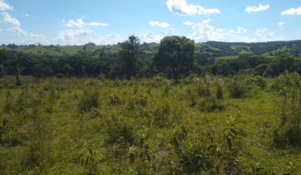 Sítio 9,5 Alqueires, 7 Alqueires em Pasto, Boa para Plantio ou Pecuária, Boa de Água com Ribeirão na Divisa, Sem Benfeitorias