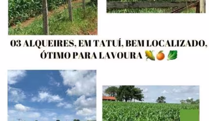 Chácara 3 Alqueires, Ótimo Para Lavoura, Estrada Boa, Ótima Localização, Casa Sede