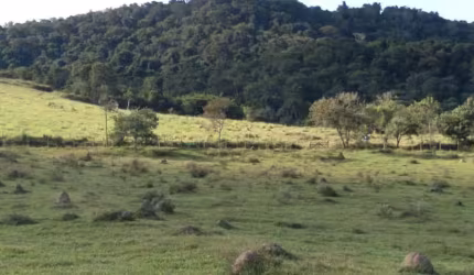 Fazenda 125 Alqueires, Rica em Água com Varias Nascentes, Represa e Rio, Casa Sede, 2 Casas Caseiro, Curral, Rancho, Ótima Localização