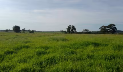 Sítio 16,5 Alqueires, Rico em Água com Corrego, 13 Alqueires em Área Para Plantio, Boa Topografia, Solo Misto, Casa Simples,Balança,Cocheiro,Mangueira