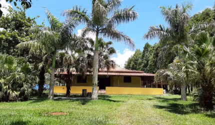 Sítio 6,5 Alqueires, Rica em Água com 3 Lagos, 2 Casas Boas, Casa de Caseiro, Área de Lazer com Churrasqueira, Galpão, Pomar e Horta, Pasto Amplo