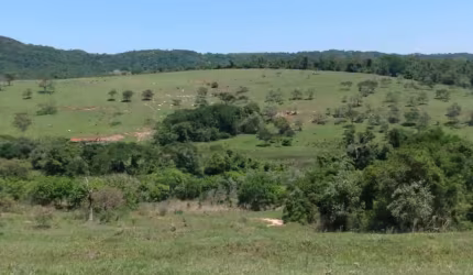 Chácara 60.000m2, Rica em Água com Nascentes na Propriedade, Sem Benfeitorias, Ótima Localização