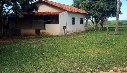 Fazenda Pecuária 131 Alqueires   Aproveitamento 110 Alqueires para Cana  Estimativa de 48 Toneladas Conforme a Usina Raízen   Rica em Água   Margeia 2