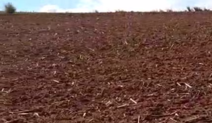 Fazenda 42 Alqueires, Bom de Água, Planta 35 Alqueires, Topografia Plana, Solo de Terra Mista Roxa