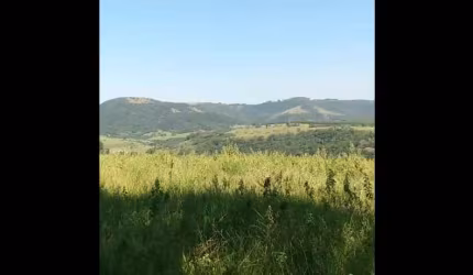 Sítio 12 Alqueires, Bom de Água, Córrego e Nascente Dentro da Propriedade, Casa Simples, Lago