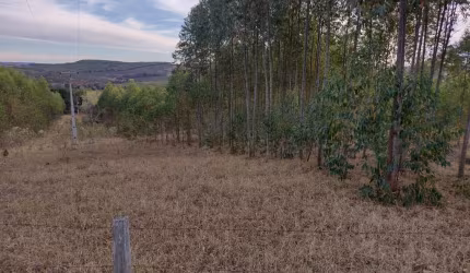 Sitio 5 Alqueires Tem 3 Alqueires Em Eucalipto, 13 km Do Centro da Cidade de Angatuba SP, Não Tem Casa, Pequena Água Corrente No Fundo do Sítio