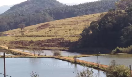 Fazenda 96 Alqueires, Rica Em Agua, Nascentes e Represas, Margem do Asfalto Casa Sede, Casa Colono, Tripla aptidão:Agrícola,Pecuária e Piscicultura