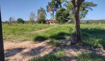 5 Alqueires Casa Simples,Pomar,Ótimo Pasto,Rico em Água,Boa Topografia