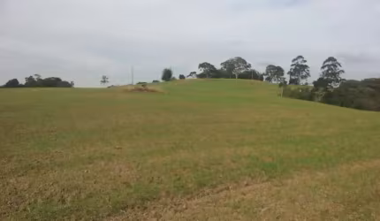 Sítio 9 Alqueires Planta 7 Alqueires(Sem Casa,Só Terra),Terra Mista,Fácil Acesso
