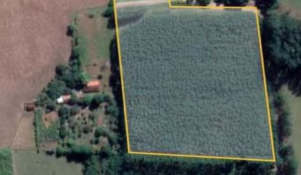 Chacara 1,1/2 Alqueires Plano( Sem Casa),c/Agua Nascente e Corrego no Fundo,2 1/2 do Asfalto,Plantado Eucalipto Brotos ainda