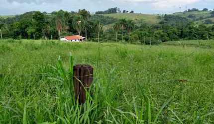 Sítio 17 Alqueires Sendo 8 Eucalipto,Planta 5 Alqueires,Casa Sede 2 Dorm,Casa Caseiro,Pomar,Galinheiro,Canil,Corrego,12100m2 APP,Pasto,Mangueira Gado