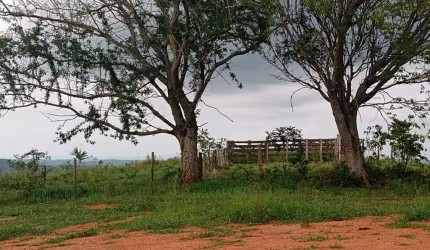 Sítio com 12 Alqueires ótimo para criação de gado... 7 km d Asfalto, 28 km d ANGATUBA,  não tem casa, localização muito boa... (Leve ondulado)