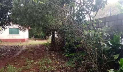 Chácara 1,1/2 Alqueire 36000m2 Casa Simples,100mts do Asfalto,37 Km de Itapetininga,Localização Nobre