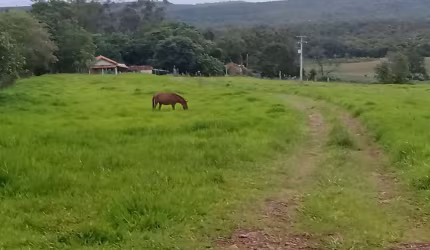 14 Alqueires região Angatuba SP com casa simples bão água luz, ótima localização, 10 km Angatuba por estrada cascalhada Oportunidade...