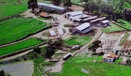 Fazenda Pilar do Sul 55 Alqueires,6 Tratores,2 Vagões Grandes,Plantadeira 4 Linhas,5 Casas,2 Redes Trifasico