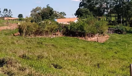 Sítio 5,3 Alqueires Casa Sede,Bom de Agua,Ótimo Pasto Pecuária Corte e Leite,Resfriador de Leite,Vocação para Granja,Criação de Frangos