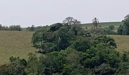 Sítio 7 Alqueires, na região de São Miguel Arcanjo...  Ótima Propriedade ( fartura de água )  Sítio para criação de gado corte leite e  plantio... Próx ao Asfalto e bairro Santa Cruz dos matos... 25 k