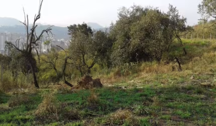 Área 4156m2 Terreno Ótimo para Construir Prédios ou Condomínio de Casas