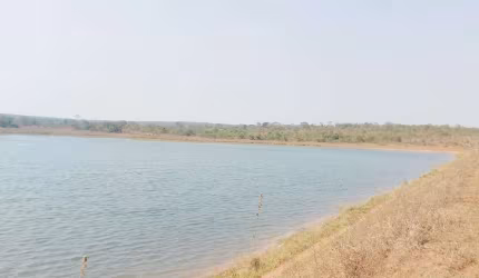 EXCELENTE FAZENDA A VENDA EM RIBAS DO RIO PARDO - MS ??   Área Total 832 Hectares ou 343 Alqueires Paulista   Formada em Pasto   80% de Aproveitamen