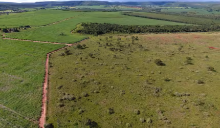 *FAZENDA A VENDA NA REGIÃO DE UBERLÂNDIA-MG* ??  Localizada no Município do Prata-MG, e 16 km de Comendador Gomes, Região conhecida como Rio Verde. Uma das melhores terras da Região.  Área Total de 55