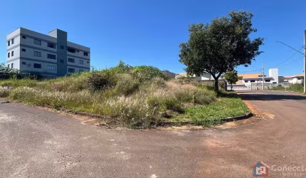 Terreno à Venda de 375m² no Bairro Campos Elíseos em Patos de Minas-MG Oportunidade de Investimento em Terreno Amplo e Bem Localizado e de Esquina no Campos Eliseos