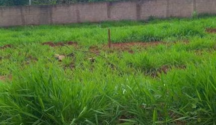 Terreno em Condomínio em Alto dos Caiçaras, Patos de Minas/MG