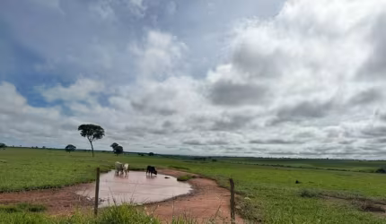 Fazenda em São Sebastião do Pontal (Carneirinho) / MG