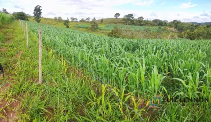 Fazenda à venda próximo a Varjão de Minas