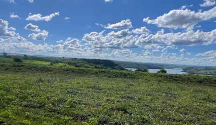 Fazenda Ótima Oportunidade / Uberlândia/MG