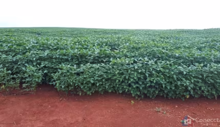 Fazenda a venda em Sacramento/MG